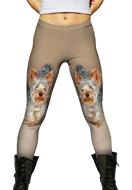 Elegant Design Yorkie Carpet Walk
