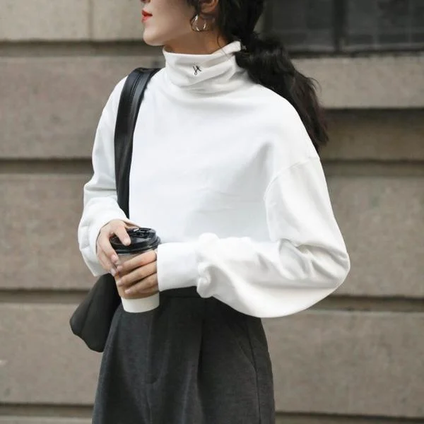 Chic Outfits Winter Turtleneck Collar Long Sleeve Blouse